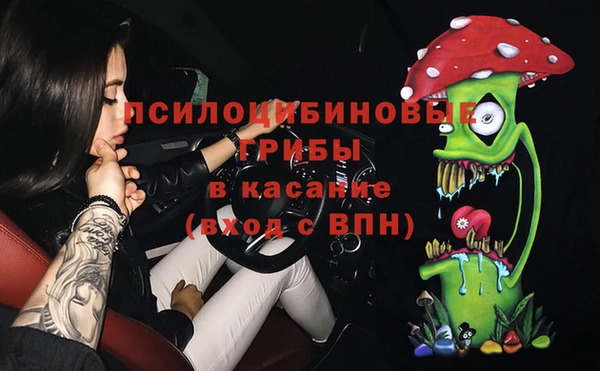 бутират Козловка