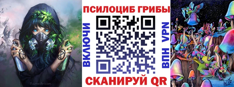 Купить  Боготол  Галлюциногенные грибы Magic Shrooms 